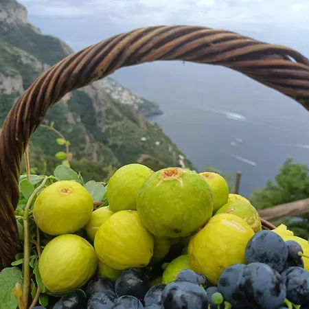 Antica Macina Apartman Positano