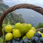 Antica Macina Apartamento Positano