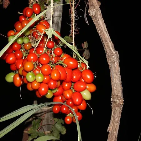 Antica Macina פוזיטנו