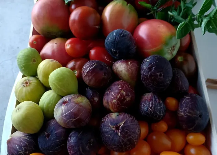 Antica Macina Διαμέρισμα Ποζιτάνο