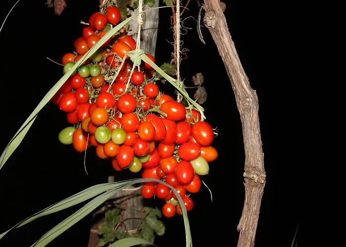 Antica Macina Ποζιτάνο