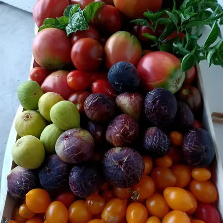 Antica Macina Lägenhet Positano